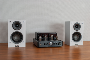 Bookshelf Speakers: The Perfect Gift